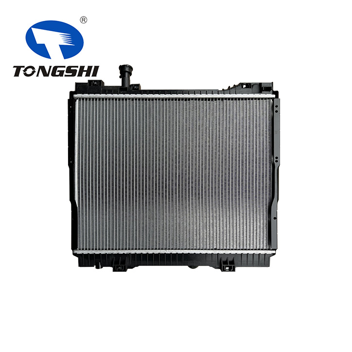21400-MB41C / 21400MB41C Nissan Cabstar Radiator 21400-MB41C / 21400MB41C Nissan Cabstar Radiator