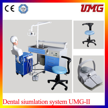 China Dental Supply Dental Phantom