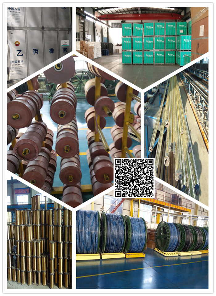 high quality steel wire spiral 10mm rubber hydraulic hose from BAILI HOSE