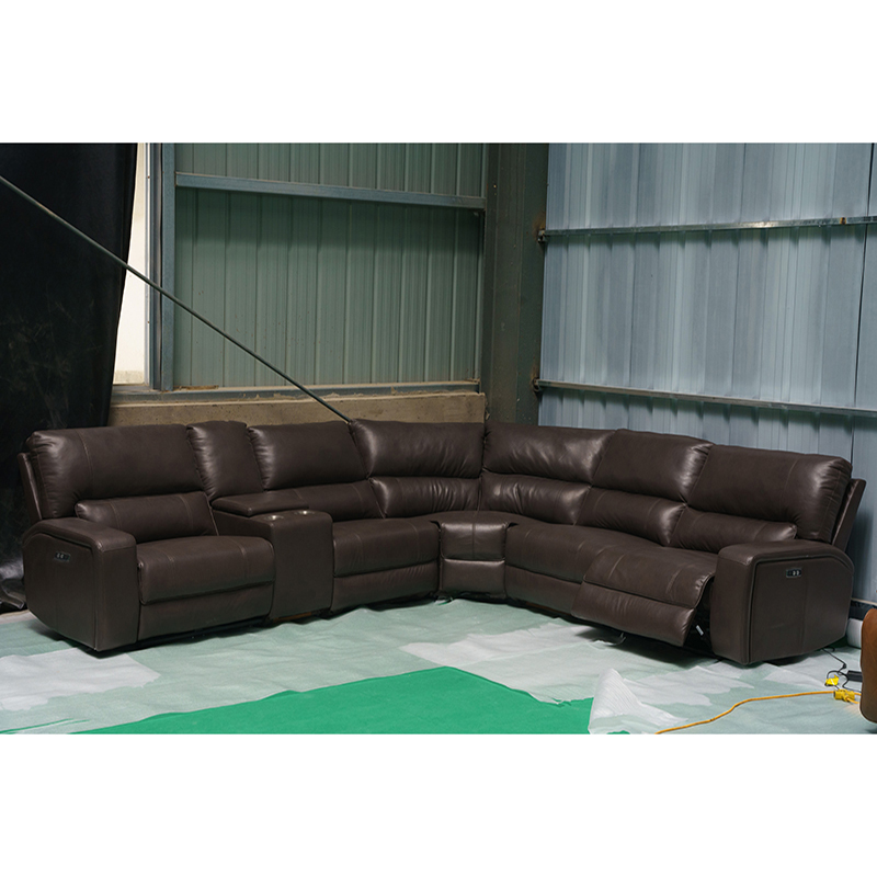 Recliner Sofa 6911 8