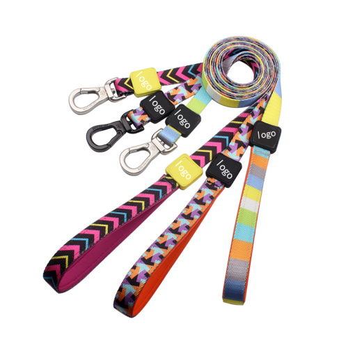 Custom Dog Leash Neoprene Padded Handle Dog Leashes Factory