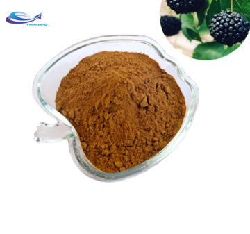 Black Maca Extract Maca Root Capsule for Women