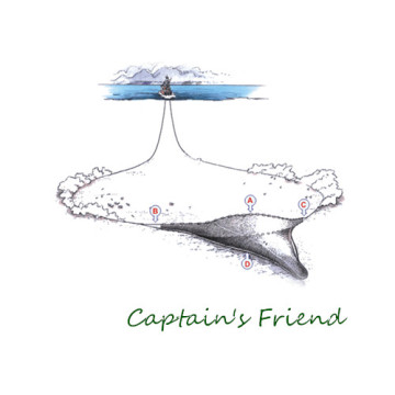 Generic Fishing Danish Seine