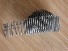 coil nail manufacturer in china