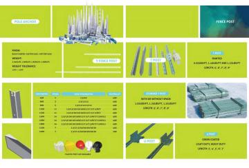 Pole anchor and fence post