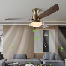 SLYNN Luxury Golden LED Chandelier Lighting with Remote Control