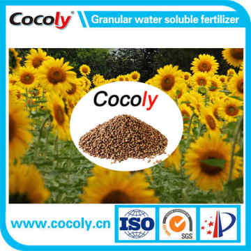 Cocoly Polyaspartic Acid Poly Glutamic Acid Bacillus subtilis Bacillus cereus Fertilizer Granular Water-Soluble Fertilizer