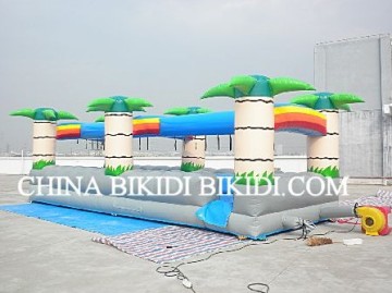 Inflatable Water Slide, Surf Slide (B4072)