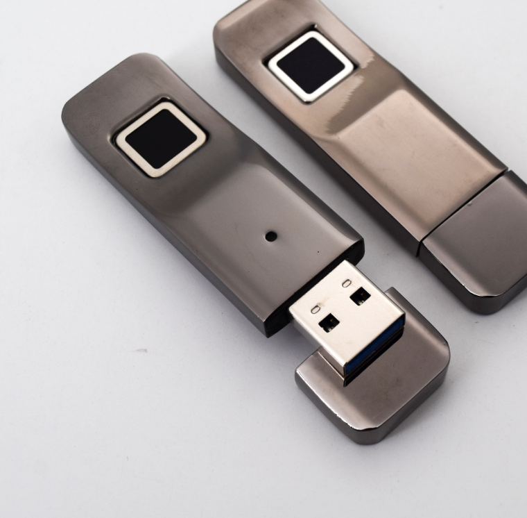 Impronta digitale Flash U drive