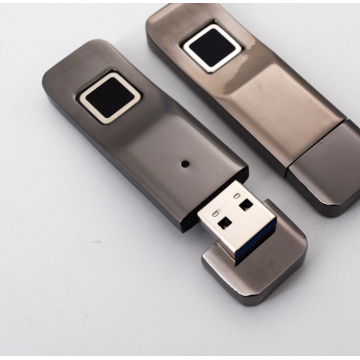 Impronta digitale Flash U drive