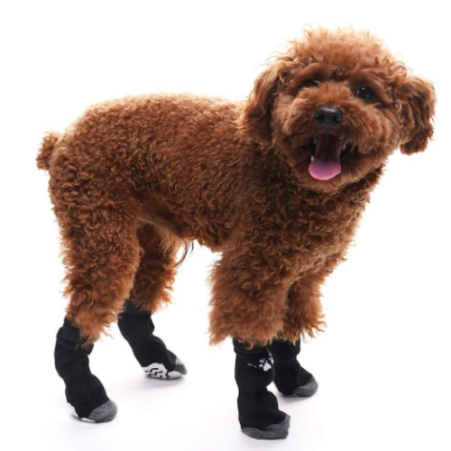 Anti-slip Kondong Anjing Knit