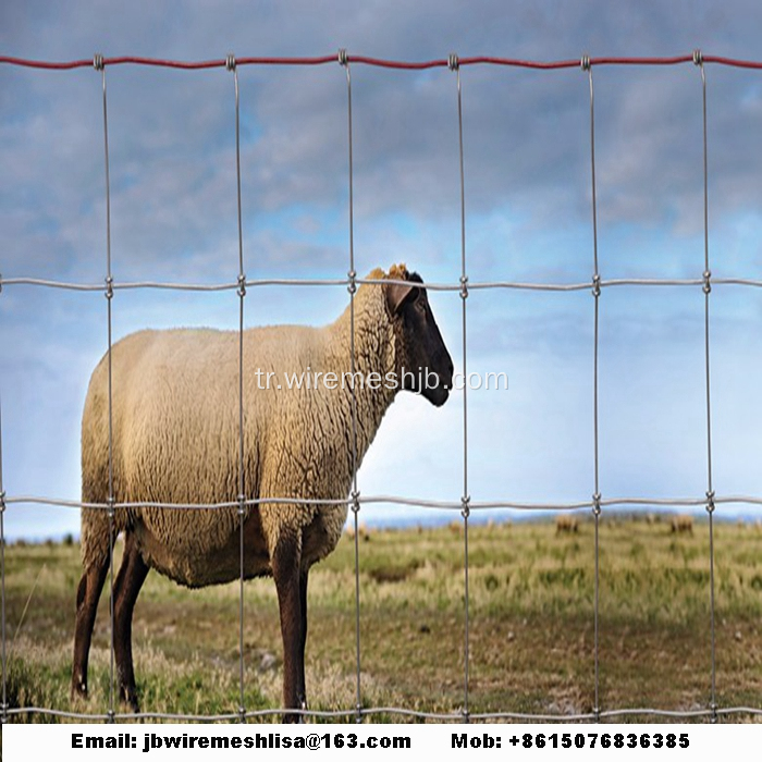 Düşük Karbonlu Çelik Tel Örgü Kraal Ağı