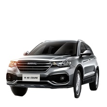 Hot Sale Haval H6 DHT-PHEV 110KM Hybrid SUV