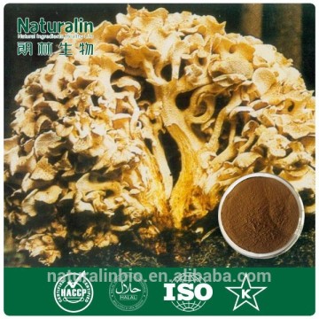 Healthcare Supplement Mushroom Fungus Extract Maitake Capsule