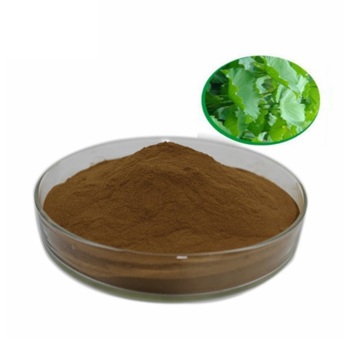 Healthy Supplements lotus leaf extract lotus leaf powder