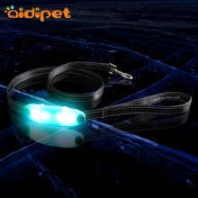 LED Dog Leash for Night Walks