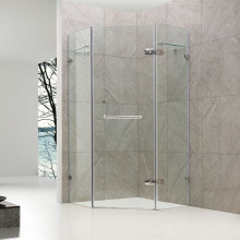 enclosed shower room glass shower doors