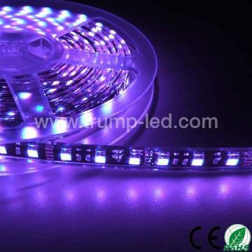 led underbody car lighting