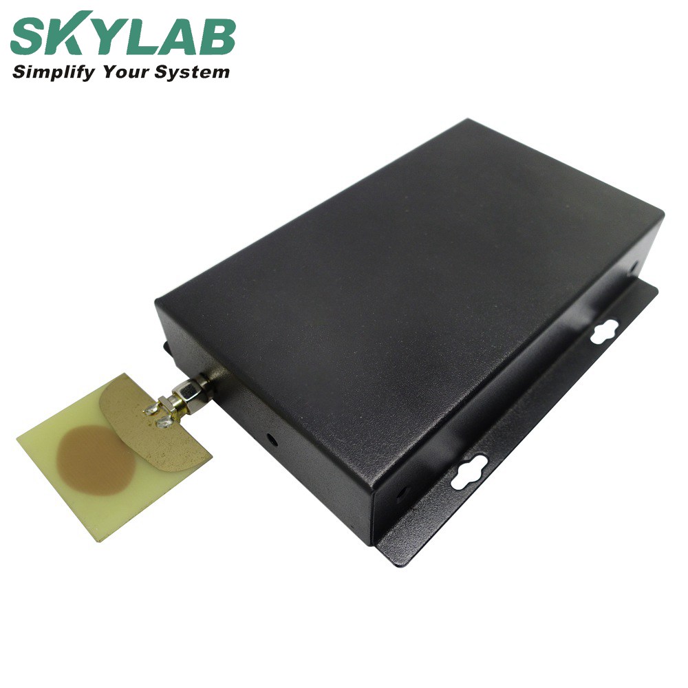 SKYLAB EDM Hot Sale UWB DW1000 4G Indoor positioning Base Station