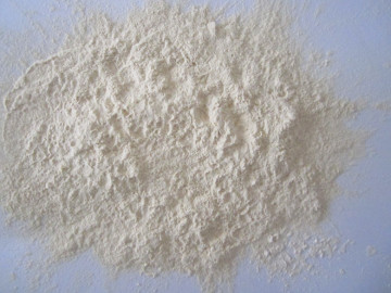 2013 new crop AD horseradish powder