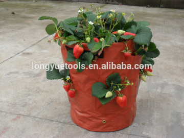 strawberry planting bag with handle