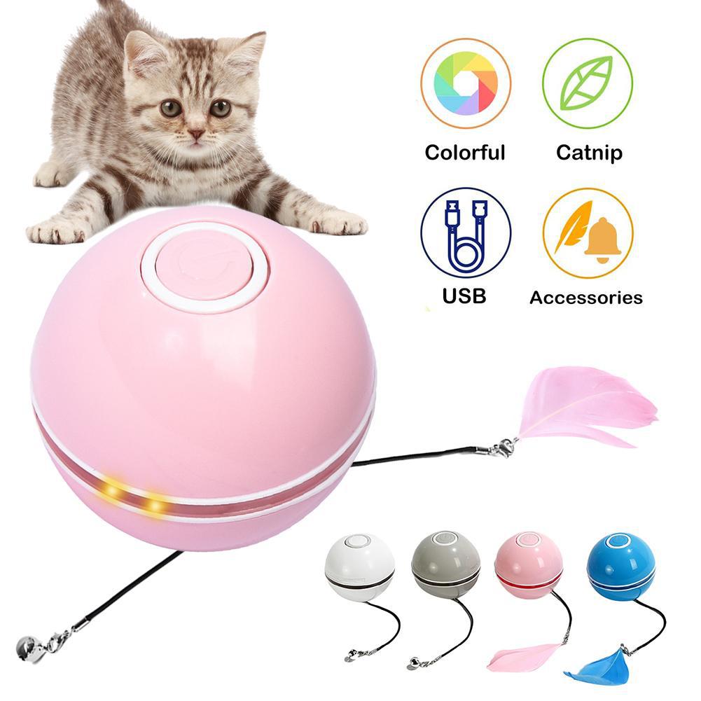 Haustierspielzeug pet toys