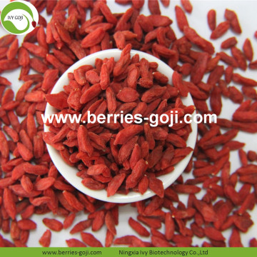 Nutrition Dried Red Organic Wolfberry