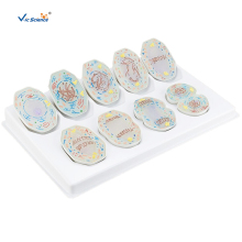 Biology Teaching Model Cell Meiosis Model