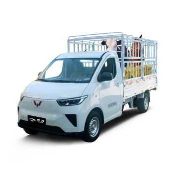 Electric truck livestock and poultry transport vehicle