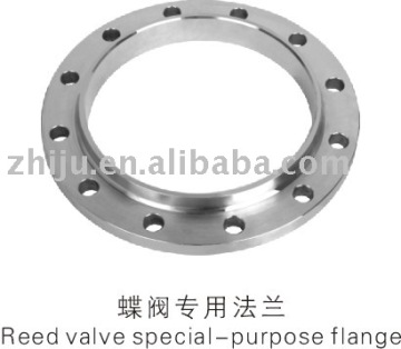 stainless steel special flange