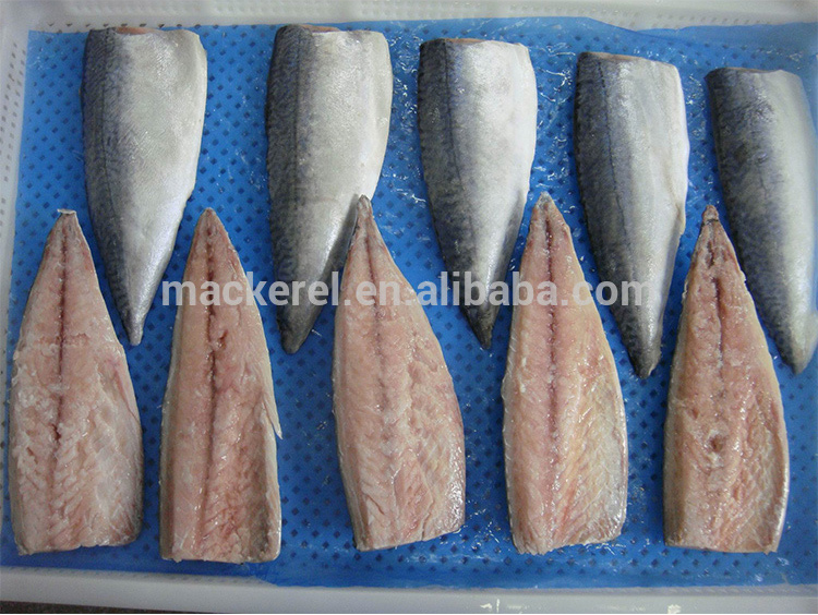 Export Natural Frozen Mackerel Fish Fillet For Wholesale, High Quality