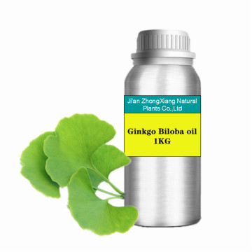 Pure Natural Ginkgo Biloba Essential Oil New