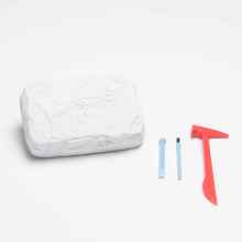 Dinosaur Stone Fossil Digging toys