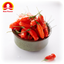 Red Power QIZITO goji berry wolfberry fruit wolfberry price red wolfberry