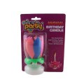 Rainbow 14 Little Lotus Birthday Music Flower Candle