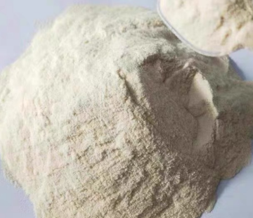 Xanthan Gum Food Grade Factory Carton Packing