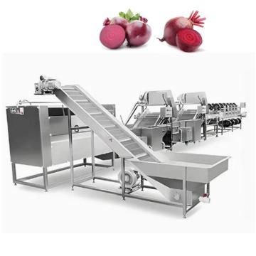 Automatic Beetroot Washing, Cleaning, Drying, Sorting, and Grading Machine