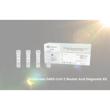 COVID19 RNA Test Kit