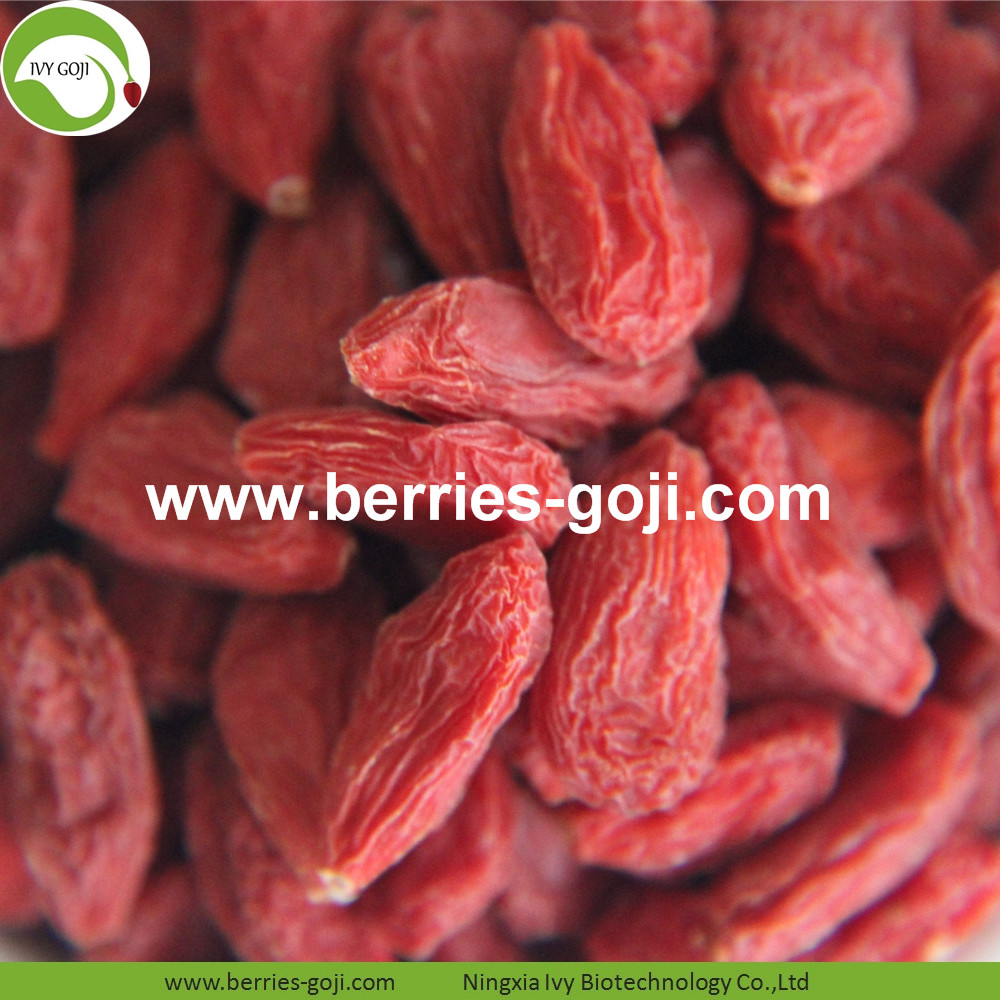 Common Goji Berry