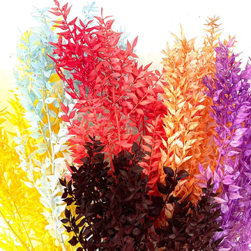 Fall Decor: Preserved Flowers, Dried Flowers, Ruscus Preserved