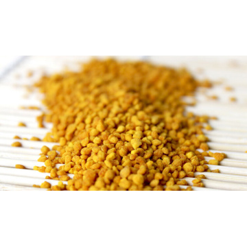 Bee pollen powder with best price