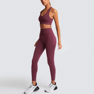 Adapt Moisture Wicking Seamless Womens Yoga Wear