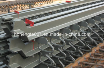 Provide Strip Seal Expansion Joint as Requirement