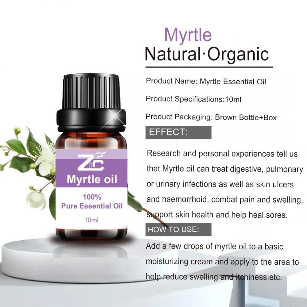 Huile de myrte de meilleure qualité Pure Grade thérapeutique naturel