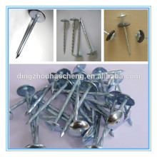 Roofing nails 2.5"roofing nails umbrella head