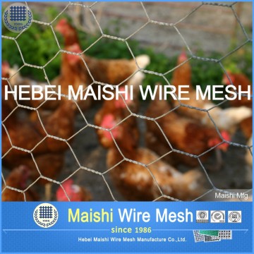 Chicken hexagonal cage net