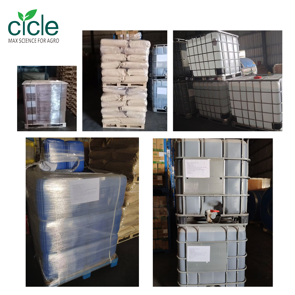 Fertilizer Chile Fertilizer Chile