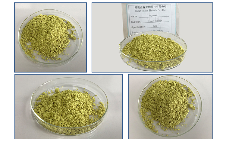 Factory Supply Natural Source Myricetin Extract Powder