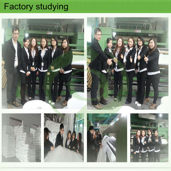 Cheap Non Woven Factory Direct Fabric