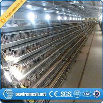 cheap price layer quail cage for sale